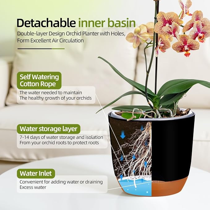 QCQHDU 5.7Inch Orchid Pots with Holes for Repotting, Double-Layer Plastic Self Watering Flower Pots for Indoor Plants with Drainage Holes, Clear Orchid Pot Match Decorative Orchid Container, 1Pack