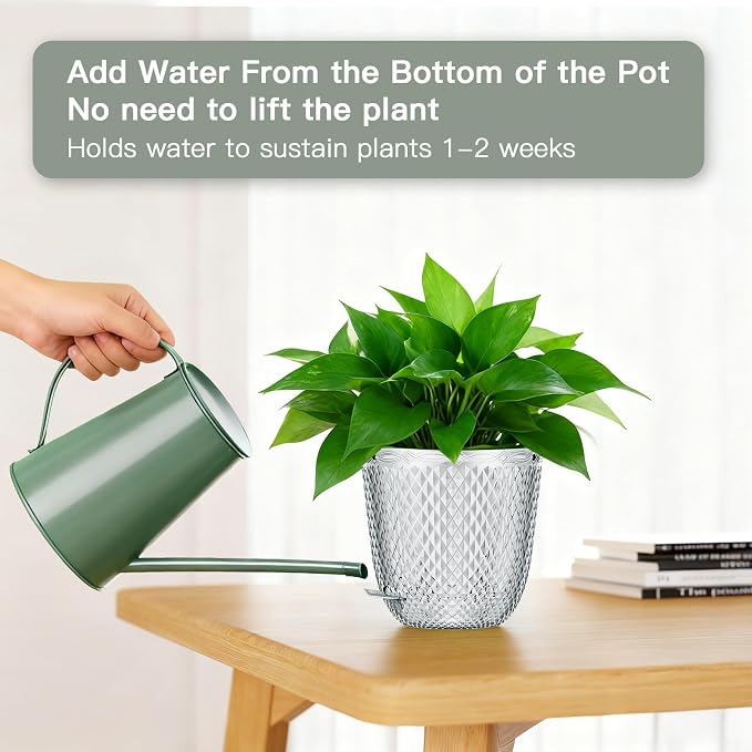 QCQHDU Hanging Planters for Indoor Plants, 2-Pack, 7.2 Inch, Clear | Plastic, Self Watering Plant Hanger, with Drainage Holes, 3 Hooks Chains, For Garden Home