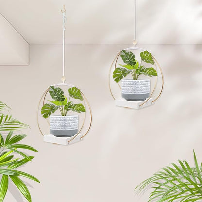 hismocal 2 Pack Hanging Planter Holder for Indoor Plants, Plant Hanger with Sturdy Wood Base,Modern Boho Macrame Wall Ceiling Window Stands(Plants/Pots Not Included)