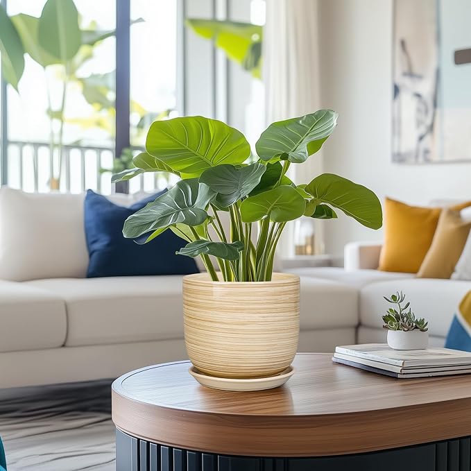 Ceramic Planter for Indoor Plants 7 Inch - Cylinder Modern Indoor Plant Pot with Drainage Hole and Saucer, Home Patio Office Bathroom Decor, Yellow