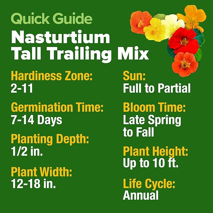 HOME GROWN Nasturtium Seeds Dwarf Tall Trailing Mix 250+ Edible Flower Seeds for Planting Outdoors Fast Germination, Low-Maintenance Climbing & Trailing Nasturtium (Tropaeolum majus)