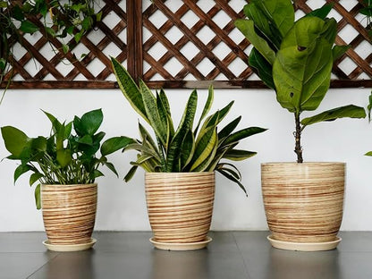 12 Inch Planter Pot Ceramic Plant Pots for Plants with Drainage Hole and Saucer Large Flower Pot for Home Patio Garden Office Yellow