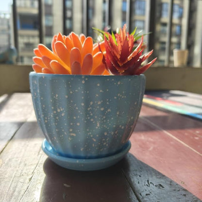 4 Inch Ceramic Indoor Succulent Plant Pots with Drainage Holes and Saucers, Bonsai Planter for Succulent, Cactus, Small Flowers (Blue)