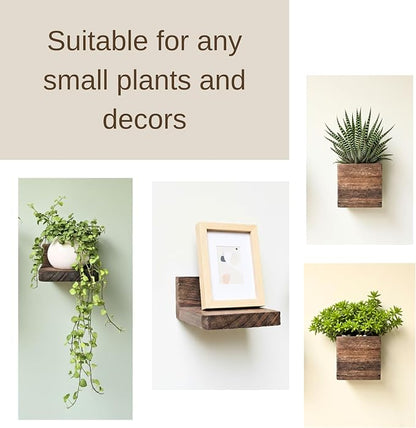 LaLaGreen Wood Planter Box for Indoor Plants (6 Pack) Hanging Wall Planters | Wall Planters for Dried Flowers Wall Mount Greenery Decor Living Room, Bedroom, Kitchen, Office Home Garden