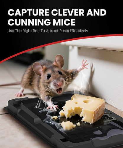 WowCatch Sticky Mouse Traps Indoor for Home - 16 Pack Glue Traps for Mice, Roaches, Rodent Catcher for Kitchen,Garage, Sticky Glue Boards for Insects, Pet Safe Pest Control, Non-Toxic, Small Size