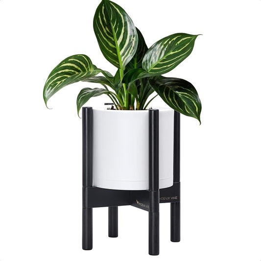 D'vine Dev Plastic Pot with Ebony Wood Stand, White, 8 in, 55-C-K-1 | Mid-Century Inspired Design, Elevated Plant Display, Clean Lines, Sturdy Support, Modern Space-Saving Style