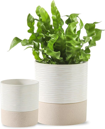 Nihow Ceramic Self Watering Plant Pot for Indoor Plants, 4.5+6 Inch | Planter with Cotton Wick, Drainage Hole & Water Storage Plus, Cylinder Round Flower Pot, For Succulent/Herbs/Violets