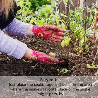 AJOQFKTD Snake Repellent for Yard Powerful, Snake Away Repellent for Outdoors Pet Safe, Backyard Snakes Deterrent, Copperhead Snake Repeller, Effective Rattlesnake Repellant 8P
