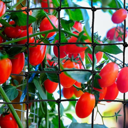 2 Pack 5x5 ft Elastic Trellis Netting for Grow Tent, Heavy Duty Plant Support Net with Steel Hooks and 100 Zip Ties, Black Garden Trellis Net for Tomatoes, Cucumbers, Vines