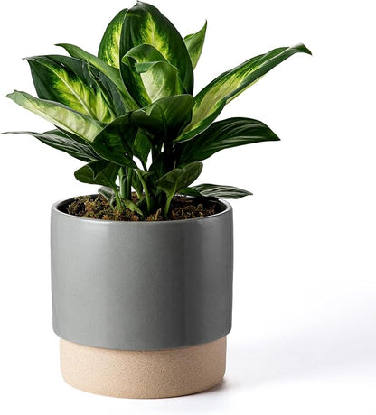 8 Inch Ceramic Self Watering Planter with Drainage Hole, Dark Grey | Indoor Plant Pot with Water Storage Plus - for African Violet, Herbs & Pothos - Home & Office Decor, Cylinder Round