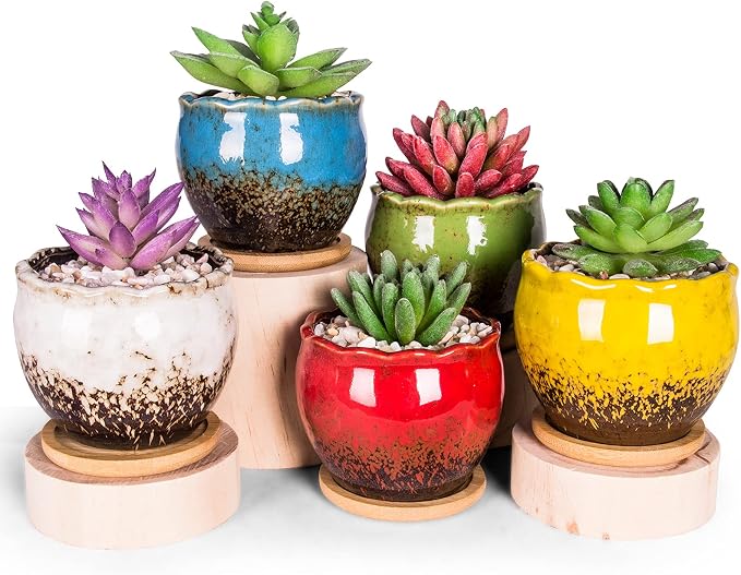 ARTKETTY Succulent Pots - 4 Inch Ceramic Succulent Planters with Drainage Tray Set of 6, Small Cactus Pots for Indoor Plants Colorful Flower Plant Pots for Desk Windowsill