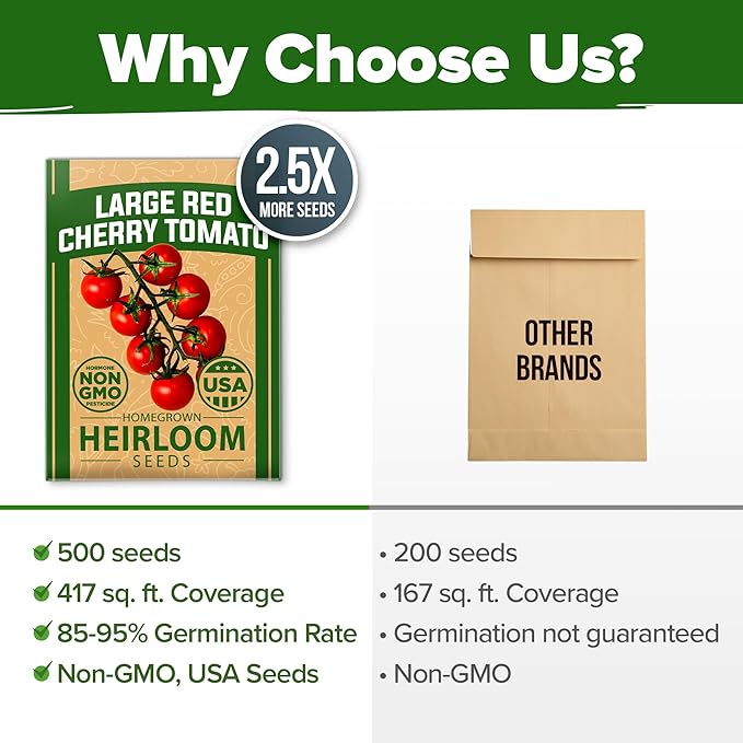 HOME GROWN Large Red Cherry Tomato Seeds 500+ Heirloom Non GMO Seeds for Planting, High Germination, Indeterminate, Sweet & Juicy Salad Tomatoes, Prolific Garden Crop, Homestead (Solanum lycopersicum)