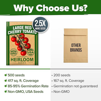 HOME GROWN Large Red Cherry Tomato Seeds 500+ Heirloom Non GMO Seeds for Planting, High Germination, Indeterminate, Sweet & Juicy Salad Tomatoes, Prolific Garden Crop, Homestead (Solanum lycopersicum)