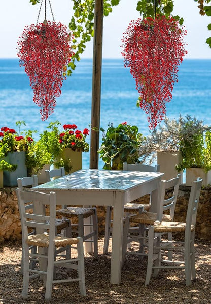 RECUTMS 4 Pcs Faux Hanging Vines Ferns Artificial Hanging Plants Fake Ivy Wall Plants Decoration for Summer Indoor Outdoor Patio Garden Wedding Graduation Balcony Christmas Party Home(Red)