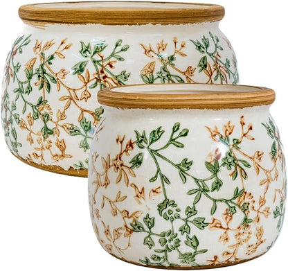 Vintage Ceramic Flower Pots - Indoor Outdoor Planters with Drainage Holes & Filter Screen, 6.5’’& 9’’ Rustic Farmhouse Decorative Plant Pots for Garden/Patio (Bicolor Vines, Small to Large Bundle)