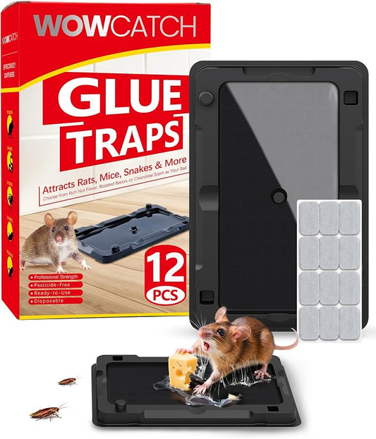 Wowcatch Sticky Mouse Traps Indoor for Home - 12 Pack Glue Traps for Roaches, Spider, Lizard, Rodent Catcher for Kitchen, Garage, Glue Boards for Insects, Pet Safe Pest Control, Non-Toxic, Small Size