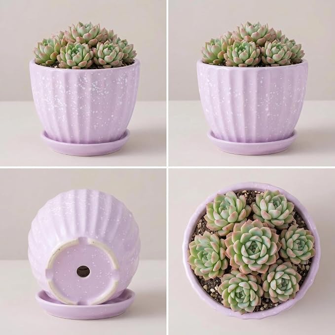 4 Inch Ceramic Indoor Succulent Plant Pots with Drainage Holes and Saucers, Bonsai Planter for Succulent, Cactus, Small Flowers (Pink)