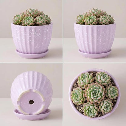 4 Inch Ceramic Indoor Succulent Plant Pots with Drainage Holes and Saucers, Bonsai Planter for Succulent, Cactus, Small Flowers (Pink)