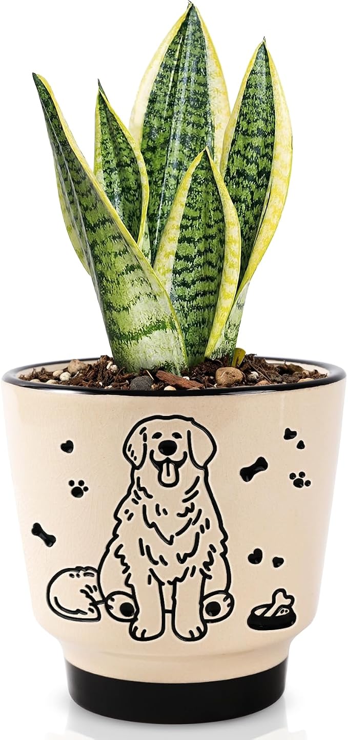 Ceramic Planter 5 Inch Plant Pots Indoor Succulent Plant Pot Cute Flowerpot | Unique Dog Pattern