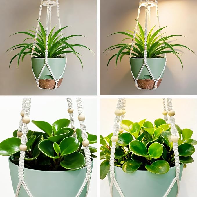 2 Pack Self Watering Hanging Planters with Grow Light for Indoor Plants | 10 Brightness, 3 Light Modes, 3/9/12H Timer, Built-In Reservoir, Drainage Holes, 10 in Pots