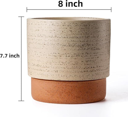 8 Inch Ceramic Self Watering Planter with Drainage Hole, Brush | Indoor Plant Pot with Water Storage Plus - for African Violet, Herbs & Pothos - Home & Office Decor, Cylinder Round
