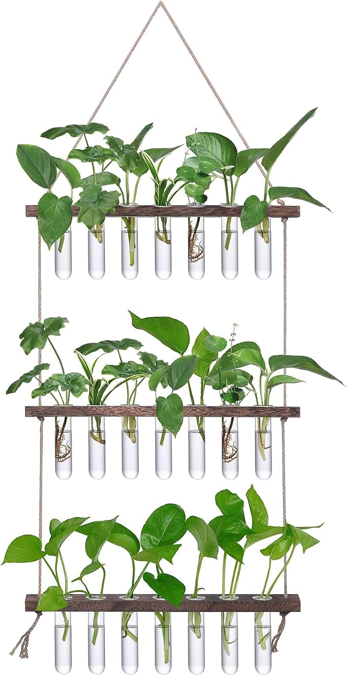 XXXFLOWER Wall Hanging Propagation Station with Wooden Stand 21 Glass Test Tubes 3 Tiers Planters Wall Terrarium for Home Office Plant Hanger Flower Vases Wall Decor Hydroponic Cuttings