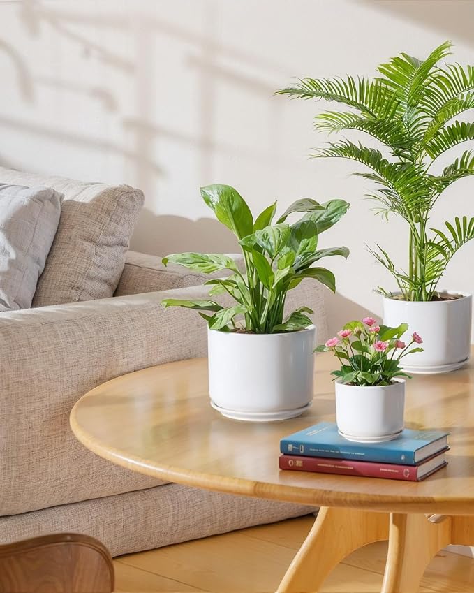 EFISPSS Plant Pots, 4+5+6 Inch Pots for Indoor Plants, Ceramic Planter Pot with Drainage Hole, Flower Pots for Succulent Cactus, Set of 3 - White