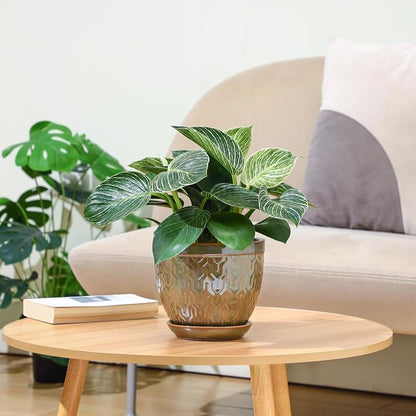 Sureasy 6.5 Inch Ceramic Plant Pots, Embossed Decorative Planters with Drainage Hole and Saucer, Modern Flower Pots for Indoor Plants, Set of 2, Green