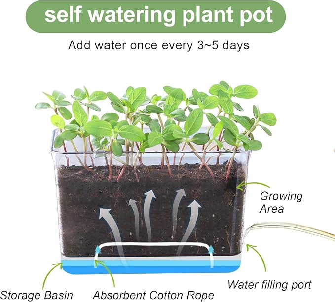Oliz 4pk Self-Watering Windowsill Planters, Clear Plastic w/Drainage Holes | 7.8"x5.4"x4", Rectangular Flower Pots, Plant Growth Observation Box for Kids