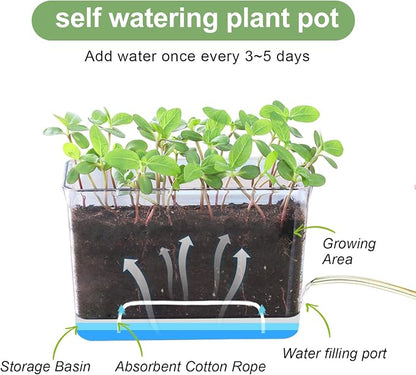 Oliz 4pk Self-Watering Windowsill Planters, Clear Plastic w/Drainage Holes | 7.8"x5.4"x4", Rectangular Flower Pots, Plant Growth Observation Box for Kids