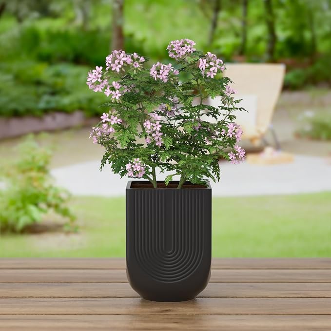 Ceramic Planter, 6 Inch Plant Pot with Drainage, Matte Black | Indoor Outdoor Use, Flower Pot for Plants, Home Garden Decor, Lightweight Durable Ceramic
