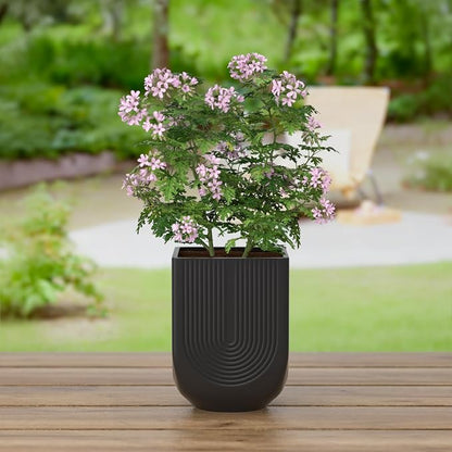 Ceramic Planter, 6 Inch Plant Pot with Drainage, Matte Black | Indoor Outdoor Use, Flower Pot for Plants, Home Garden Decor, Lightweight Durable Ceramic