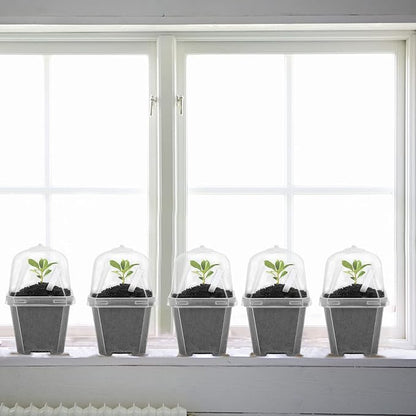 EBaokuup 10Pcs 4" Clear Plant Nursery Pots with Humidity Dome, Plastic Gardening Pot Plant Container, Seed Starting Pot with Drain Holes for Seedlings Vegetables Succulents Cuttings