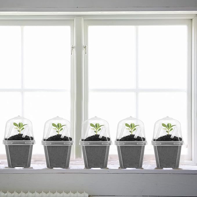 EBaokuup 10PCS Clear Plant Nursery Pots with Humidity Dome - 3" Plastic Gardening Pot with Labels, Durable Plastic Plant Container for Seedlings/Vegetables/Succulents/Cuttings