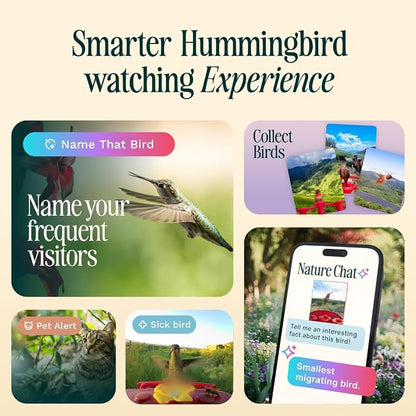 Birdbuddy Solar Hummingbird Feeder with Camera, AI Bird ID, 2K Video, Photo