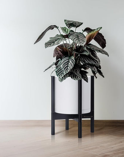 D'vine Dev Plastic Pot with Ebony Wood Stand, White, 10 in, 55-C-N-1 | Mid-Century Inspired Design, Elevated Plant Display, Clean Lines, Sturdy Support, Modern Space-Saving Style