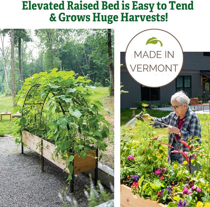 Gardener's Supply Company Elevated Cedar Raised Garden Bed | 2' x 8' Heavy Duty Standing Planter Box with Aluminum Corners for Outdoor Plants Vegetables Flowers | Perfect for Patio & Backyard