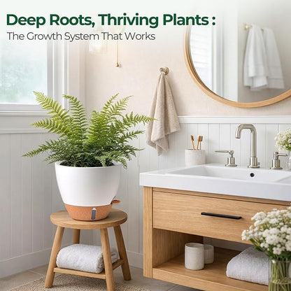 2 Pack 10 Inch Self Watering Pots - Water Level Indicator & Deep Reservoir, Mess-Free Planter for Busy People, Beginners & Gardeners, Fiddle Leaf Fig, Monstera, ZZ Plants, Indoor Outdoor Use (White)