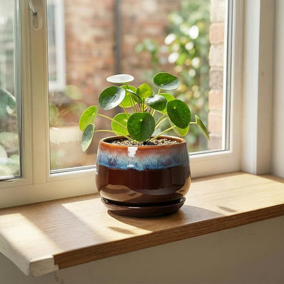 Ceramic Plant Pots - 6 Inch Planter with Drainage Hole and Saucer, Small Succulent Pot for Indoor Plants, Round Decorative Flower Pots, Garden Shelf Decor, Plant Gifts for Women, Brown-Blue