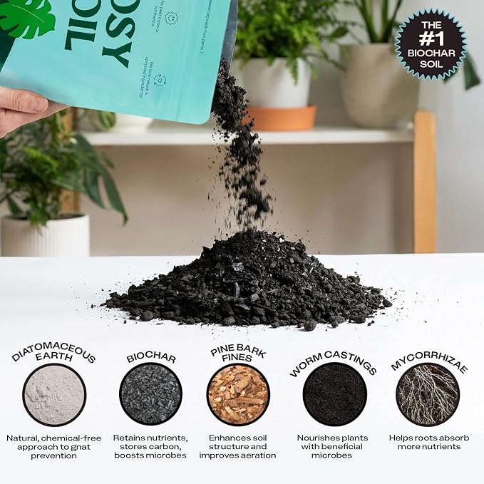 Rosy Soil Houseplant Potting Soil, 8 Quarts, Pack of 2 | Organic Indoor Potting Mix with Biochar and Worm Castings, For Monstera, Pothos, Tropical Indoor Plants, Peat Free