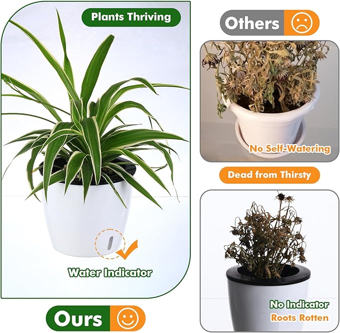 Planterhoma 5 Inch Self Watering Pots for Indoor Plants, 6 Packs African Violet Pots with Indicator, Black Wick Pot with Drainage Holes, Self Watering Planters for Orchid, Devil's Ivy, White