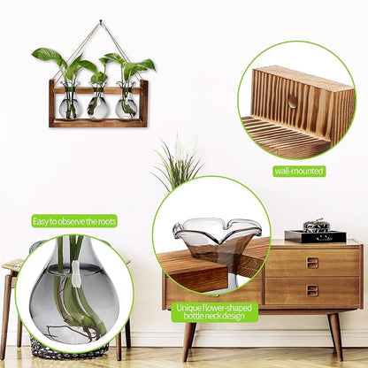 Plant Propagation Station Plant Terrarium Unique Birthday Gifts for Women | Plant Lovers Home Office Decor Planter with Wooden Stand - 3 Bulb Glass Vase