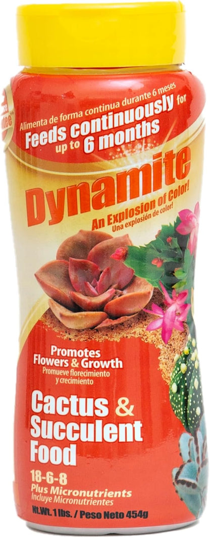 Dynamite Cactus & Succulent Food 18-6-8 - Plant Food for Indoor/Outdoor Cacti & Succulents - Continuous Feeding Up to 6 Months - Promotes Growth & Flowering - Includes Micronutrients