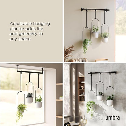 Umbra Triflora Hanging Planter for Window, Indoor Herb Garden, Set of 3, White/Black (Pack of 3)