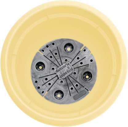 Bloem Ariana 6" Plastic Self-Watering Planter, Daffodil, 4-Pack | Self-watering disk at the bottom of each pot that acts as a water wick and reservoir for optimal plant health