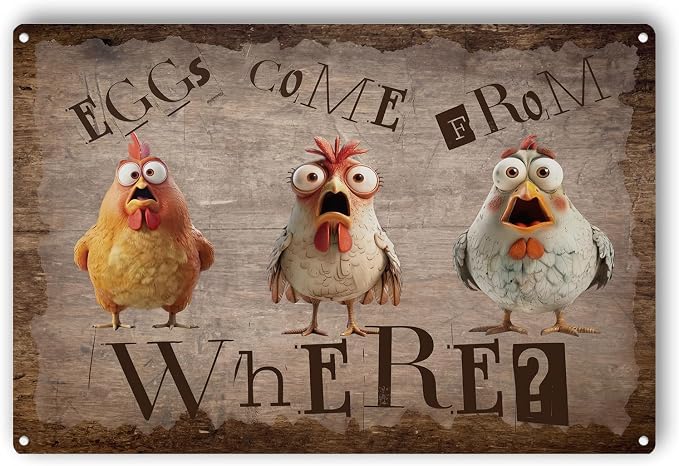 Funny Chicken Metal Sign, Rustic Farmhouse Eggs Come From Where Wall Decor, Humorous Hen Rooster Art Plaque for Chicken Coop Home Farm Kitchen Decor 8x12 Inch
