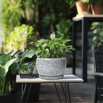 SQOWL 8 inch Plant Pot - Ceramic Planter with Drainage Hole and Saucer, Round Flower Pot for Indoor Plants, Decorative Planter Outdoor, Patio Balcony Decor, House Warming Gifts, Black and White