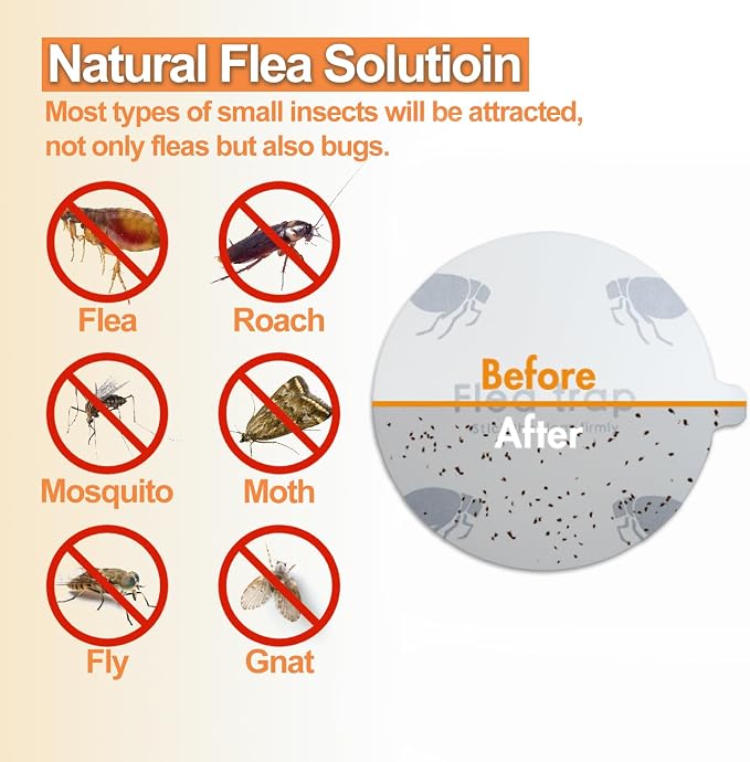 2 Pack Flea Traps for Inside Your Home, Home Flea Killer with 6 Sticky Pads & 6 Bulbs, Bed Bug Trap Pest Control, Non-Toxic & Natural Insect Infestation Treatment Trap for Pets & Kids