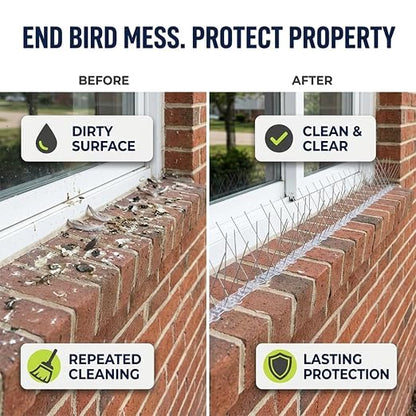 Bird-X Stainless Bird Spikes 8-Inch Extra-Wide, 2 Ft Strips, 100 Feet | Stainless Steel, Flexible Polycarbonate, Pigeons and Sparrows, Outdoor Areas