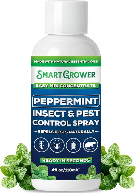 Peppermint Insect & Pest Control Best Value Concentrate - Repels Insects & Pests for Home, Indoor, Outdoor, Garden - Maximum Strength Concentrate (Makes Half Gallon RTU) 4 oz